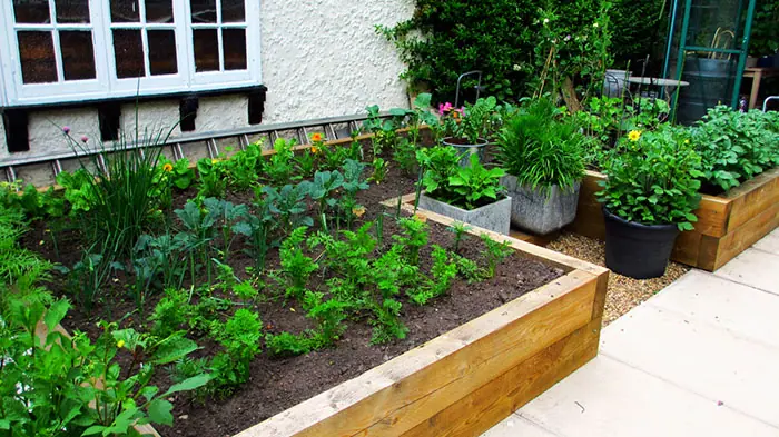 organically grown vegetables in raised sleeper beds