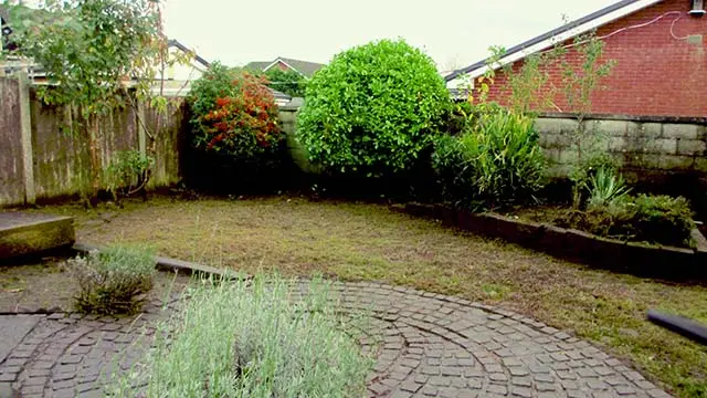 Overgrown garden in Aspullafter