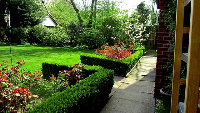 Regular gardener maintenance featuring expert hedge trimming services