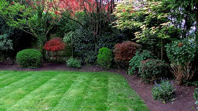 Nice neat and tidy garden up