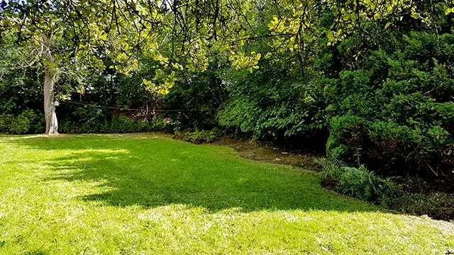 nice tidy garden ready for regular gardening maintenance