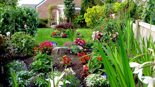 Vibrant natural colourful gardening services