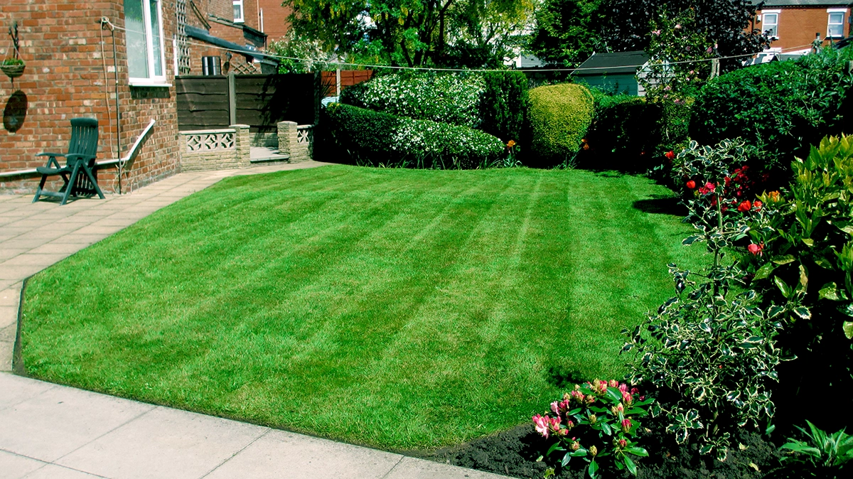 seasonal Lawn care featuring lush green grass and stripes