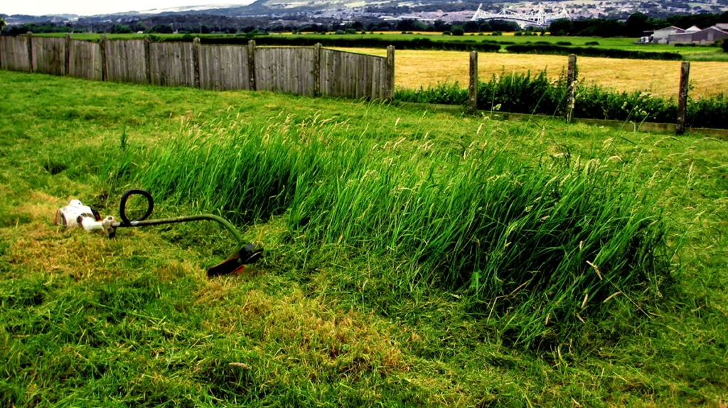 strimming and tall grass cutting of very large overgrown jungle on commercial property